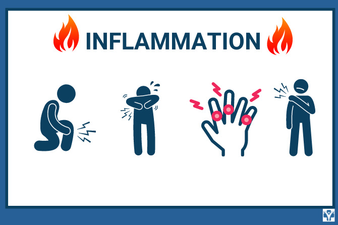 Inflammation